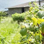 Il Giardino Segreto Apartament Traona