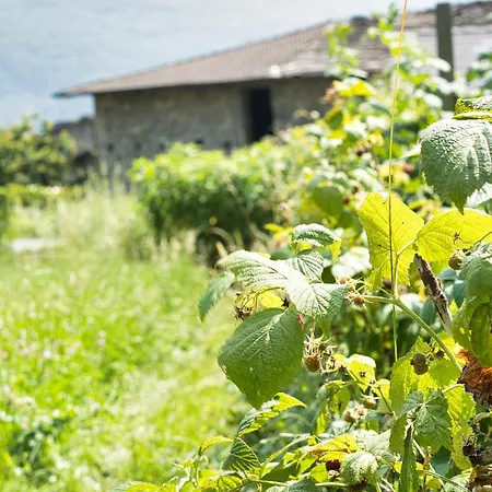 Il Giardino Segreto Lägenhet Traona